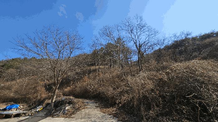경상남도 진주시 명석면 외율리 산258-2 임야 경매 사진 1