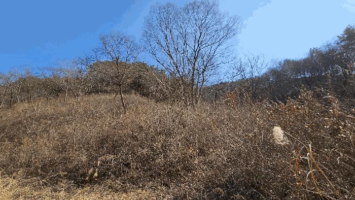 경상남도 진주시 명석면 외율리 산258-2 임야 경매 사진 2