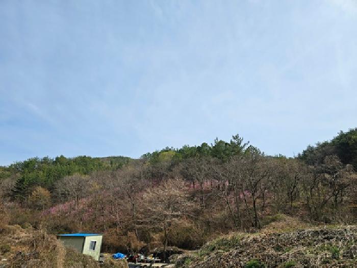 경상남도 진주시 명석면 외율리 산258-2 임야 경매 사진 3