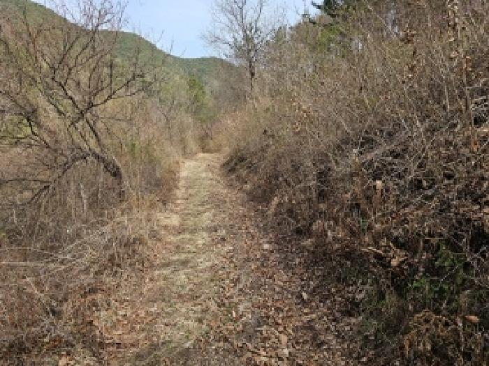 경상남도 진주시 명석면 외율리 산258-2 임야 경매 사진 4