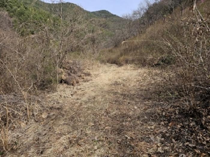 경상남도 진주시 명석면 외율리 산258-2 임야 경매 사진 6