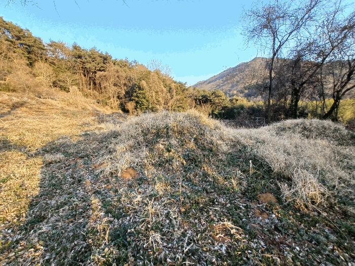 경상남도 남해군 삼동면 봉화리 183 전 경매 사진 11