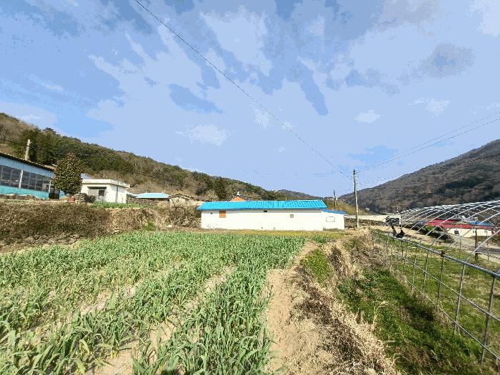 경상남도 남해군 삼동면 봉화리 183 전 경매 사진 12