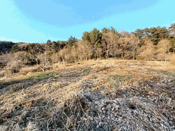 경상남도 남해군 삼동면 봉화리 183 전 경매 사진 14