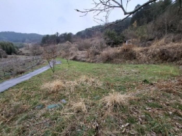 경상남도 남해군 삼동면 봉화리 183 전 경매 사진 21