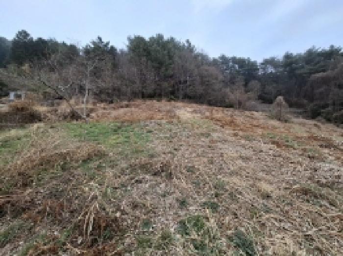 경상남도 남해군 삼동면 봉화리 183 전 경매 사진 32