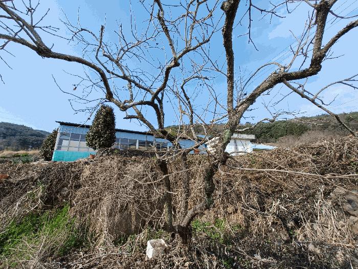 경상남도 남해군 삼동면 봉화리 183 전 경매 사진 9