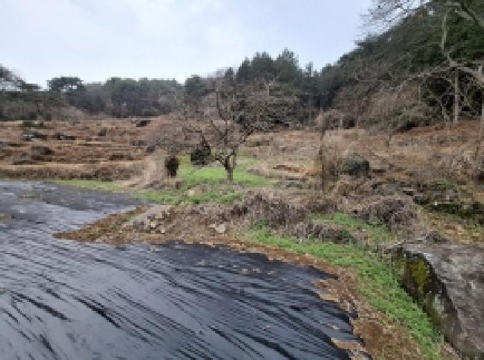 경상남도 남해군 삼동면 봉화리 188 임야 경매 사진 19