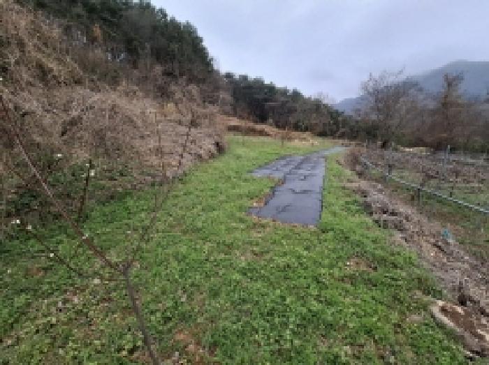 경상남도 남해군 삼동면 봉화리 188 임야 경매 사진 20