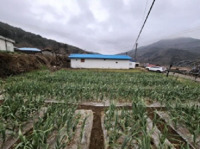 경상남도 남해군 삼동면 봉화리 188 임야 경매 사진 22