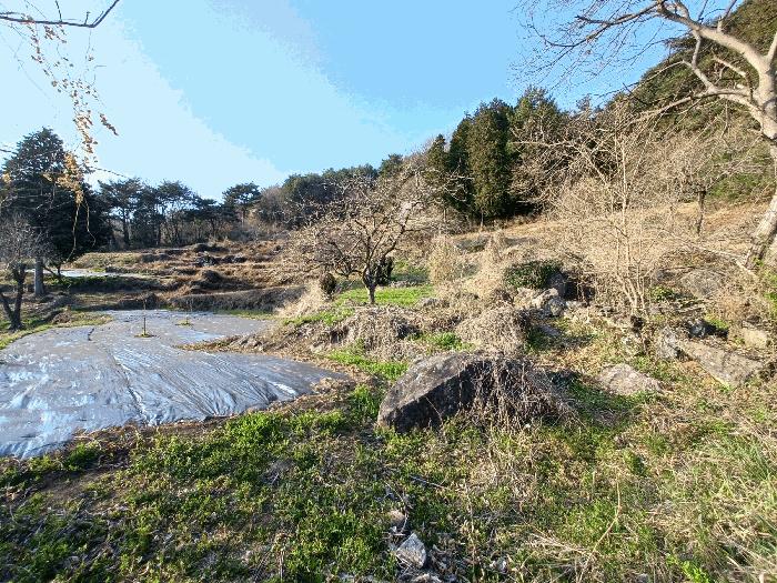 경상남도 남해군 삼동면 봉화리 188 임야 경매 사진 7