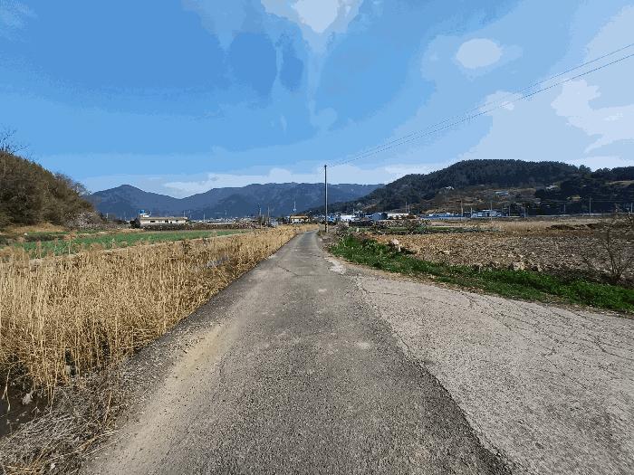 경상남도 남해군 상주면 상주리 2066 답 경매 사진 3