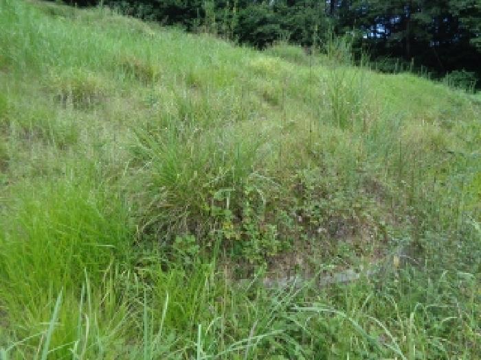 전북특별자치도 진안군 진안읍 운산리 산182 임야 경매 사진 19