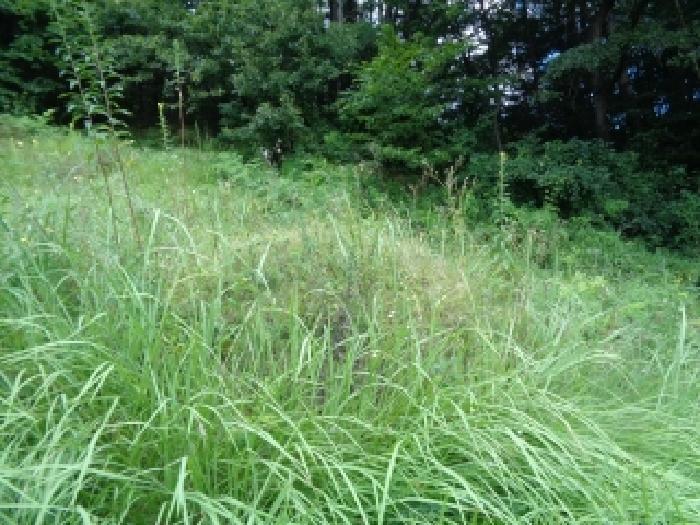 전북특별자치도 진안군 진안읍 운산리 산182 임야 경매 사진 29