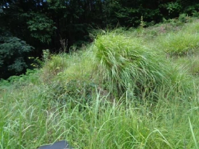 전북특별자치도 진안군 진안읍 운산리 산182 임야 경매 사진 30