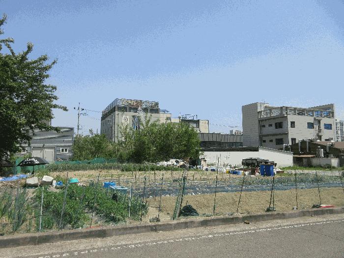 경상북도 포항시 남구 오천읍 원리 1047 대지 경매 사진 1