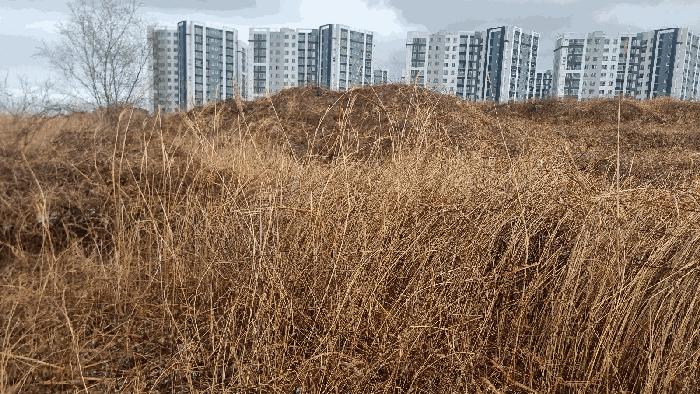 경상북도 포항시 남구 동해면 신정리 519-5 답 경매 사진 2
