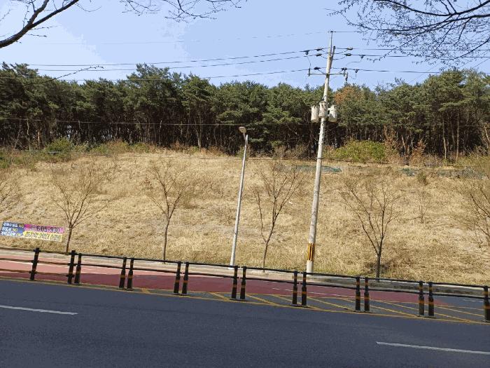 경상북도 포항시 북구 창포동 산28 임야 경매 사진 1