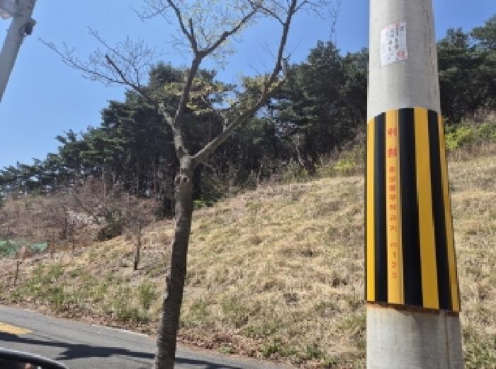 경상북도 포항시 북구 창포동 산28 임야 경매 사진 10