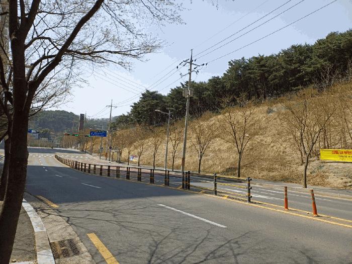 경상북도 포항시 북구 창포동 산28 임야 경매 사진 3