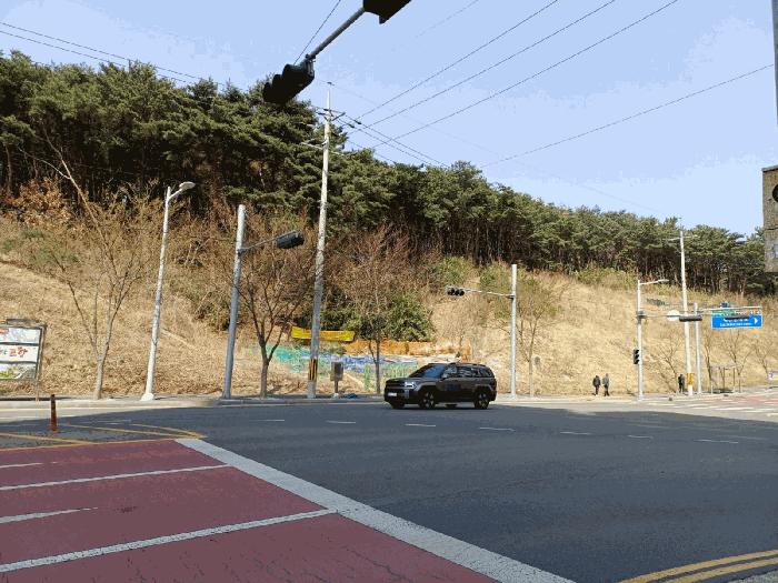 경상북도 포항시 북구 창포동 산28 임야 경매 사진 4