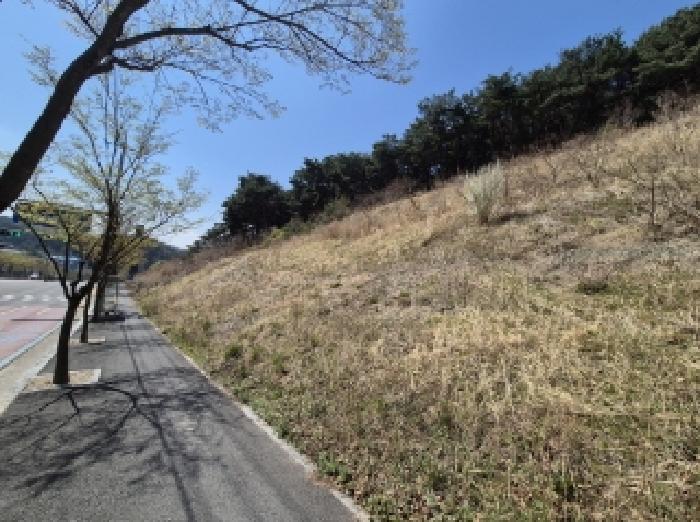 경상북도 포항시 북구 창포동 산28 임야 경매 사진 5