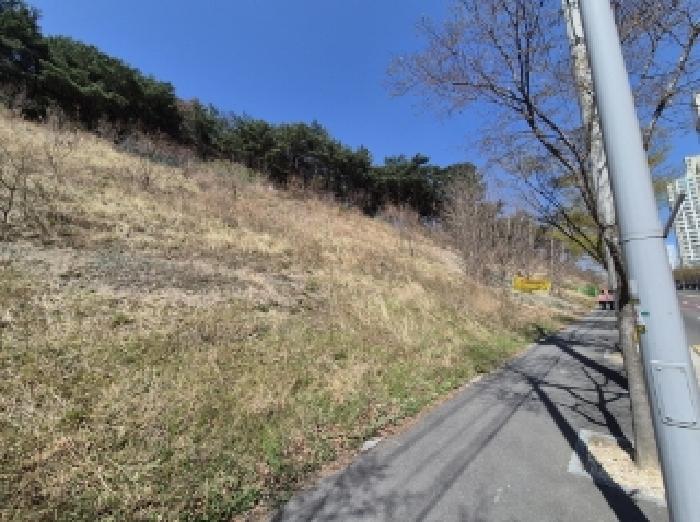 경상북도 포항시 북구 창포동 산28 임야 경매 사진 6