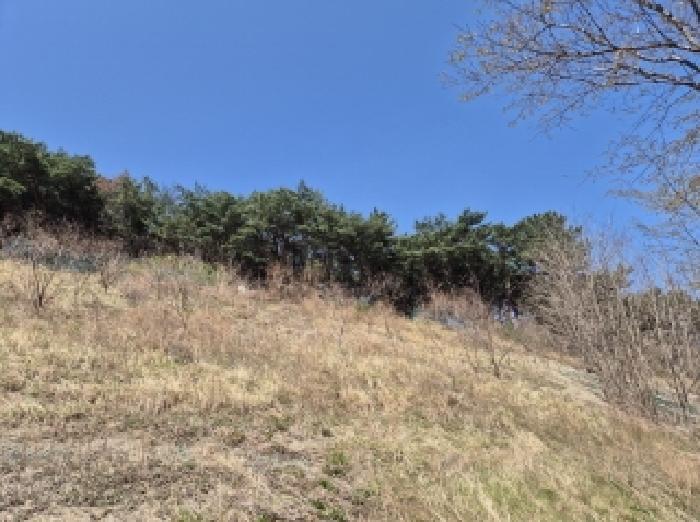 경상북도 포항시 북구 창포동 산28 임야 경매 사진 9