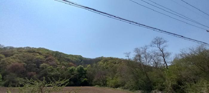 경기도 연천군 신서면 마전리 산218 임야 경매 사진 3