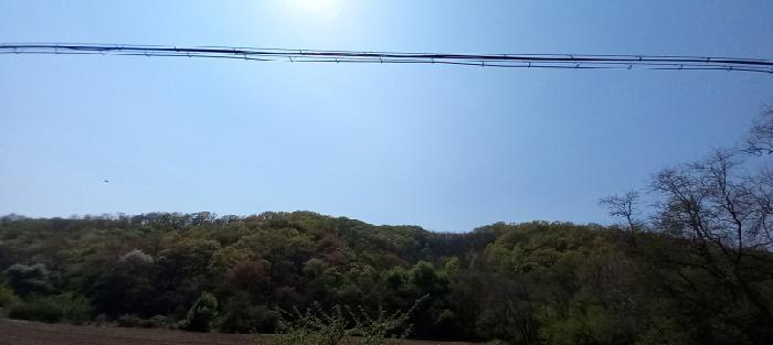 경기도 연천군 신서면 마전리 산218 임야 경매 사진 4