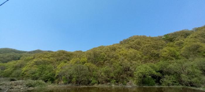경기도 연천군 신서면 마전리 산218 임야 경매 사진 6