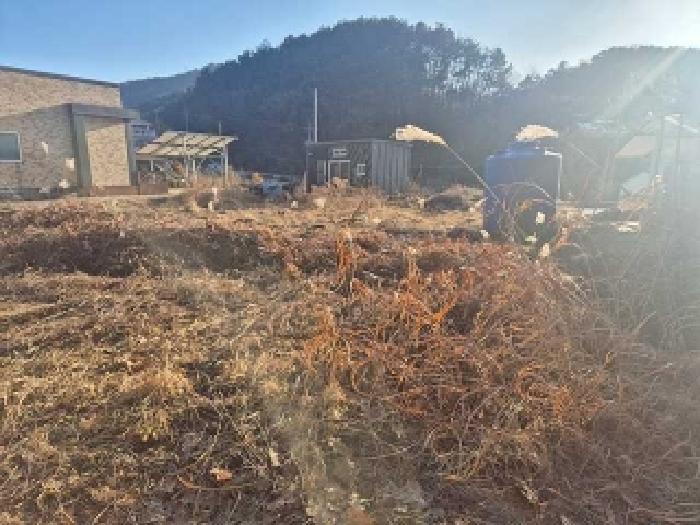 충청남도 천안시 동남구 유량동 80-10 답 경매 사진 21