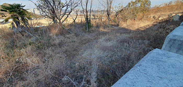 경상남도 김해시 명법동 800-15 임야 경매 사진 14