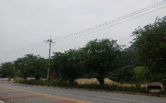 충청남도 아산시 배방읍 수철리 75 임야 경매 사진 29