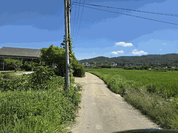 경상북도 경주시 강동면 왕신리 1361-4 전 경매 사진 4