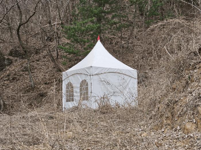 강원특별자치도 정선군 화암면 화암리 산311 임야 경매 사진 1