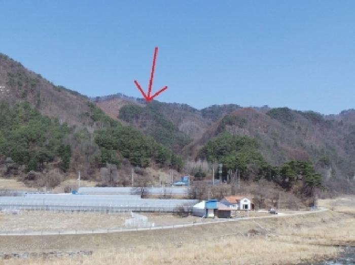 강원특별자치도 정선군 화암면 화암리 산311 임야 경매 사진 4