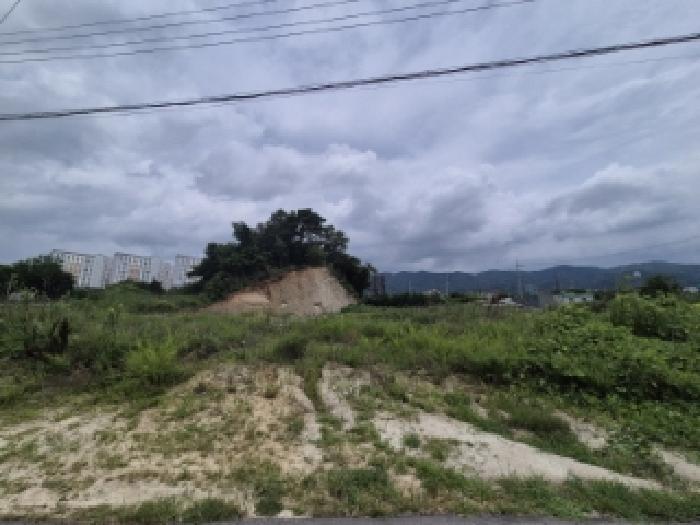 경상북도 경주시 진현동 761 임야 경매 사진 6