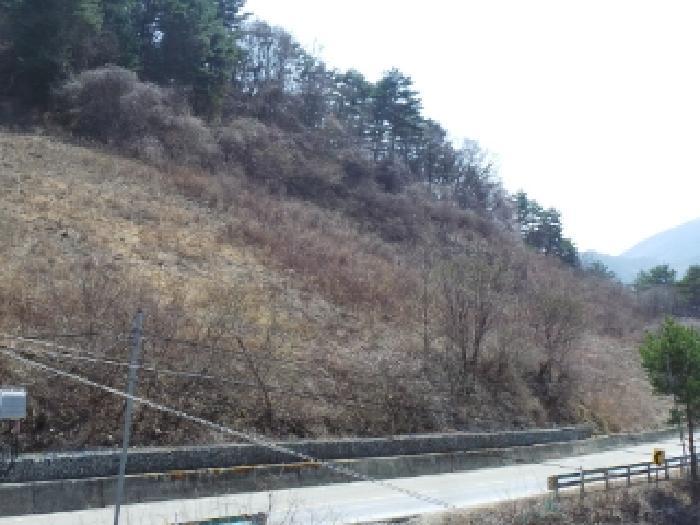 강원특별자치도 정선군 남면 무릉리 49-2 전 경매 사진 3