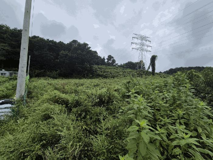 세종 연서면 전