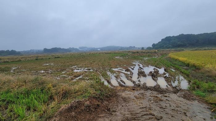 경기 평택시 답