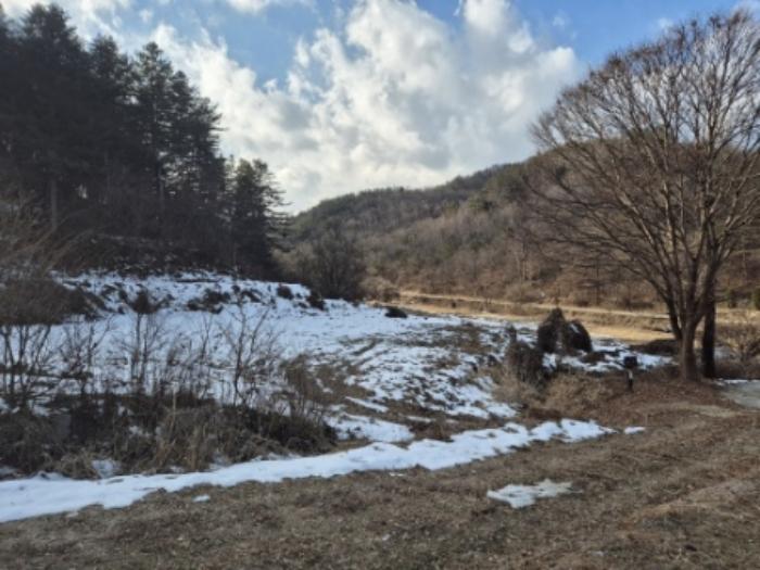 경기도 양평군 양동면 삼산리 1006-2 답 경매 사진 2