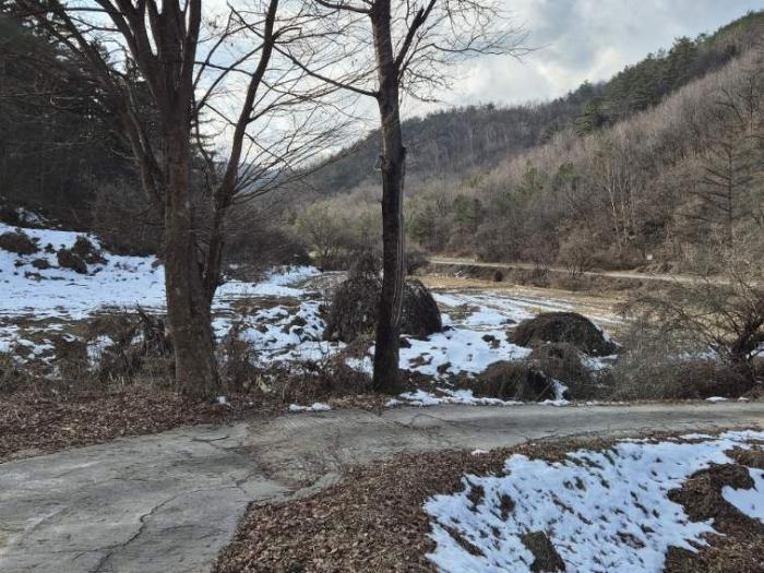 경기도 양평군 양동면 삼산리 1006-2 답 경매 사진 3