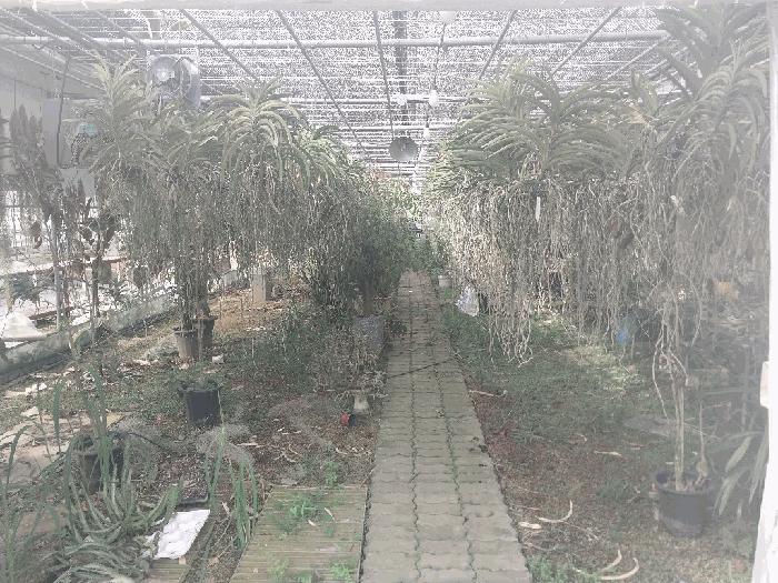 경기도 고양시 덕양구 원당동 310 전 경매 사진 7