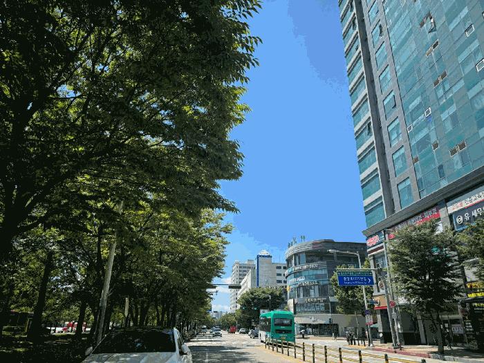 경기도 고양시 일산동구 장항동 771-1 우림로데오스위트 11층1115호 오피스텔 경매 사진 3