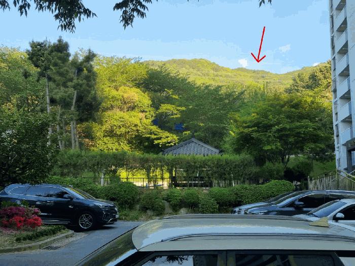 부산광역시 북구 금곡동 산15 임야 경매 사진 2