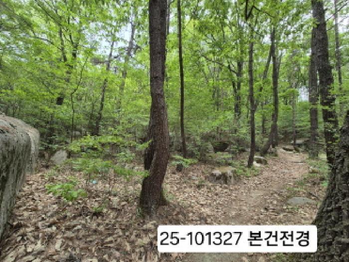 부산광역시 북구 금곡동 산15 임야 경매 사진 3