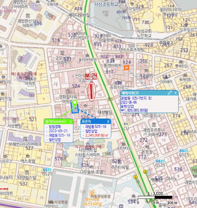부산광역시 사상구 괘법동 524-33 도로 경매 사진 8