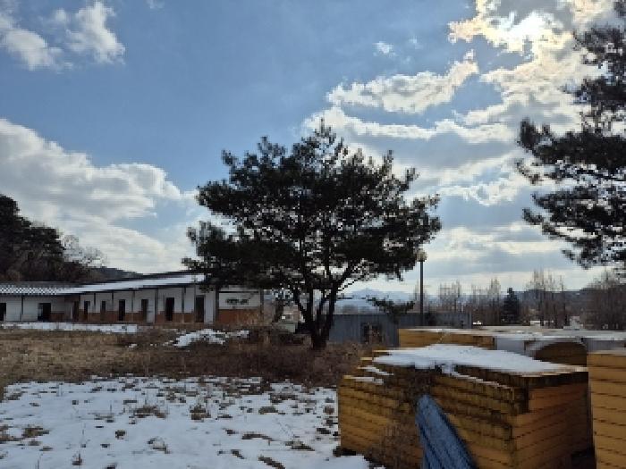전라남도 담양군 금성면 대성리 879-4 근린시설 경매 사진 4