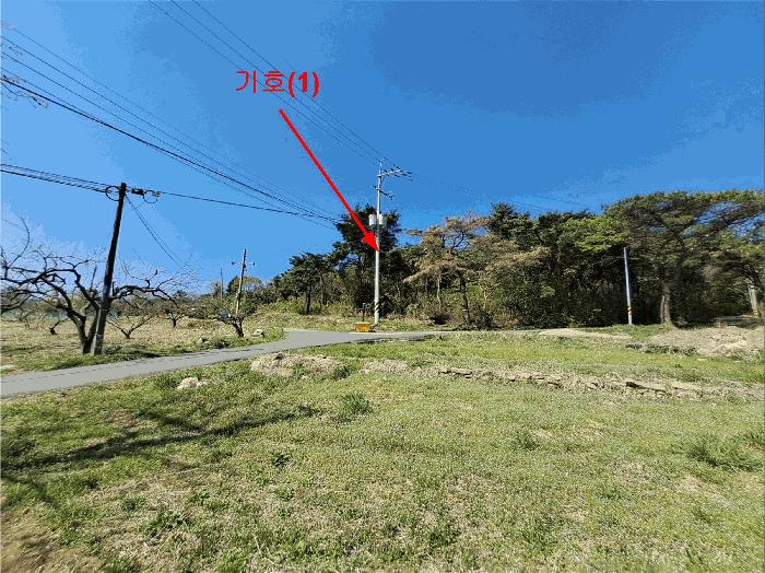 울산광역시 울주군 두서면 차리 산110-1 임야 경매 사진 2
